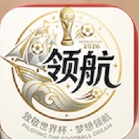 领航国际